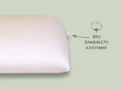SnoozeMattress.gr - Μαξιλάρια - Μαξιλάρι Ύπνου Latex Ανατομικό
